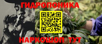 ПСИЛОЦИБИНОВЫЕ ГРИБЫ Заводоуковск