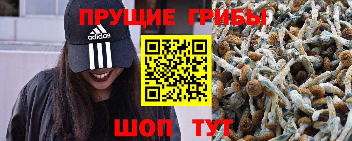 Псилоцибиновые грибы мухоморы  купить наркотики цена  Чапаевск  Вход с VPN 